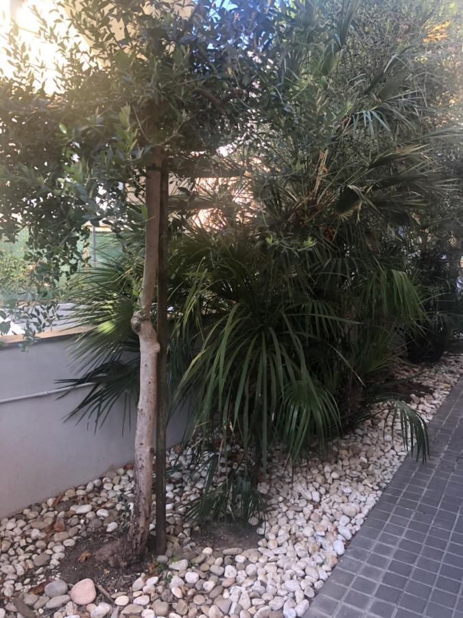 A Casa Minerva Apartment Rimini Exterior photo