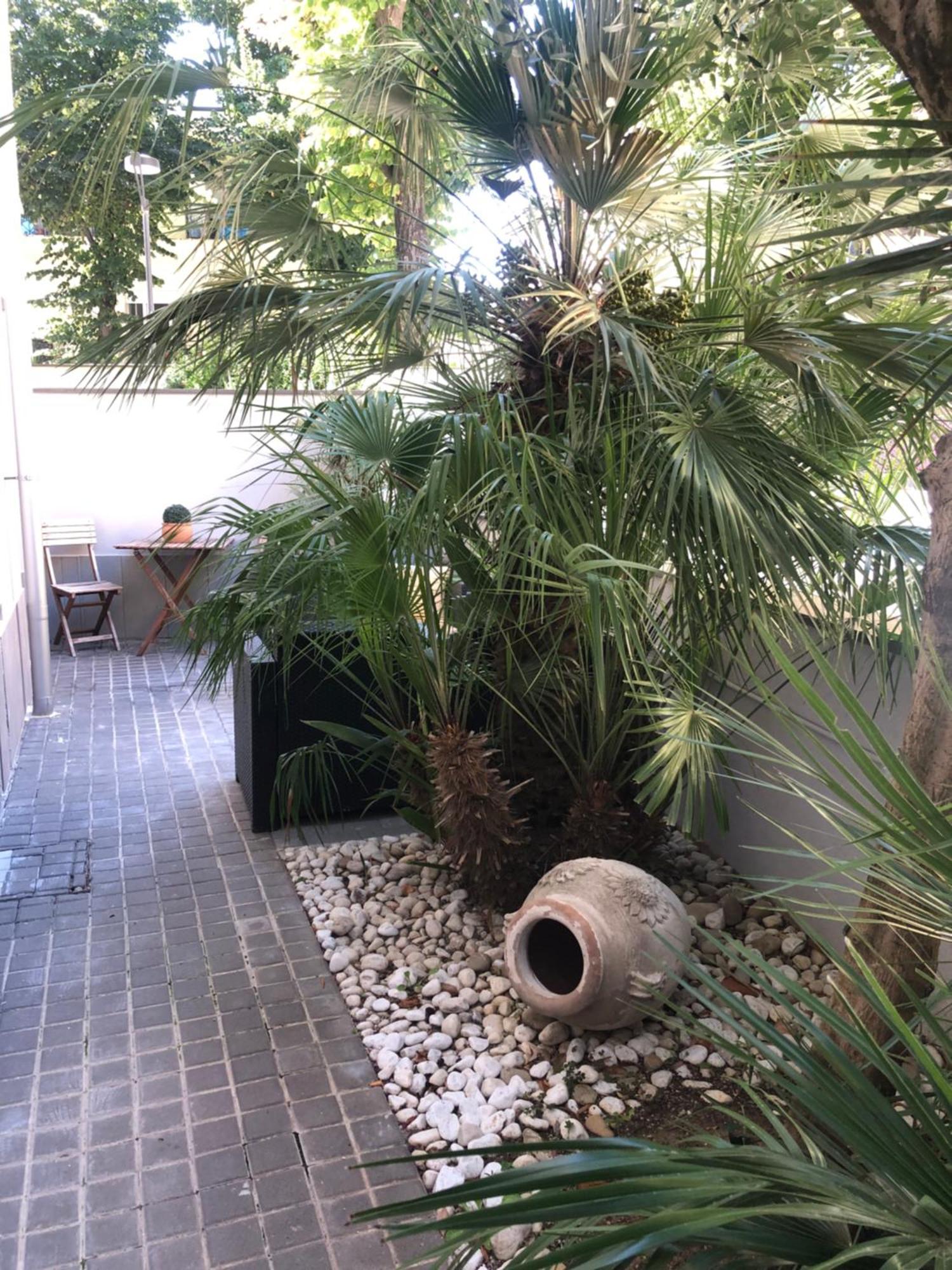 A Casa Minerva Apartment Rimini Exterior photo